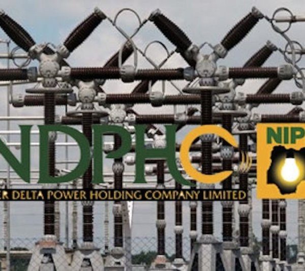 NDPHC Delivered 22 Substations, 3000km Transmission Lines in Six Years