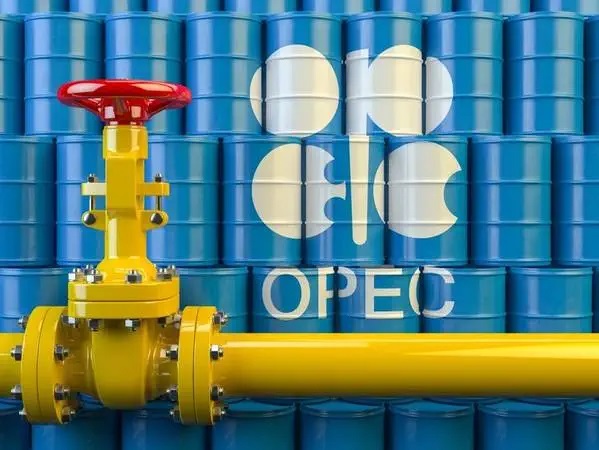 OPEC Daily Basket Price Stood At $113.29 Per Barrel Friday