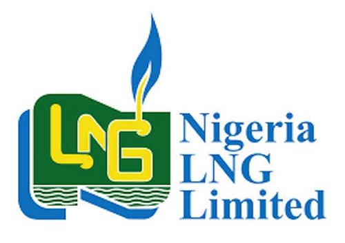NLNG Bags Most Supportive Taxpayer Award