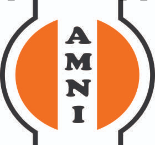 AMNI International Signs $600m MOU with Afrexim for Energy Transition