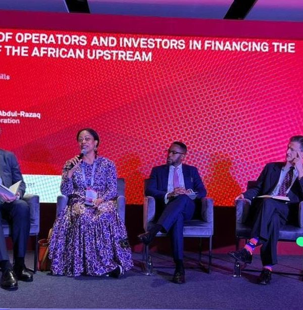 Africa Should Target Symbiotic Investors with Upstream-Focused Business Model to Revive Industry – Ogbue