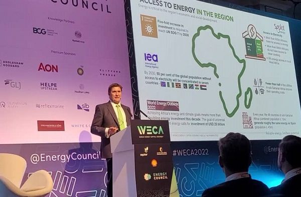 Africa Needs Energy Capital to Develop, Remain Sustainable – Seplat Energy CEO
