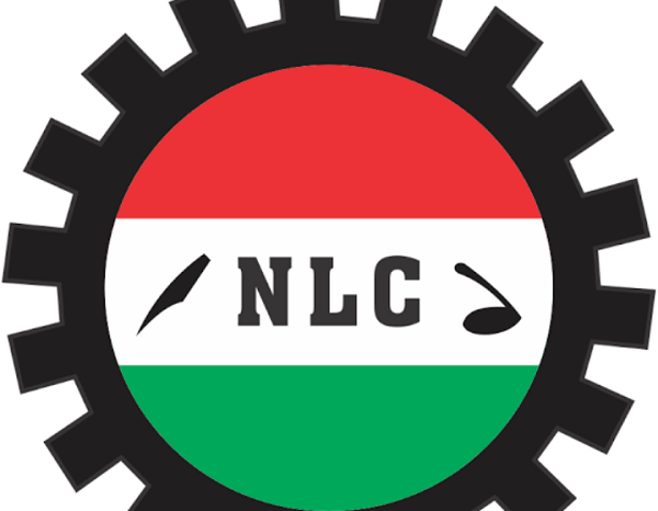 Privatisation: NLC laments worsened State of Power Sector