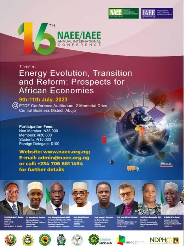 NAEE/IAEE: Energy Evolution Prospects for African Economies