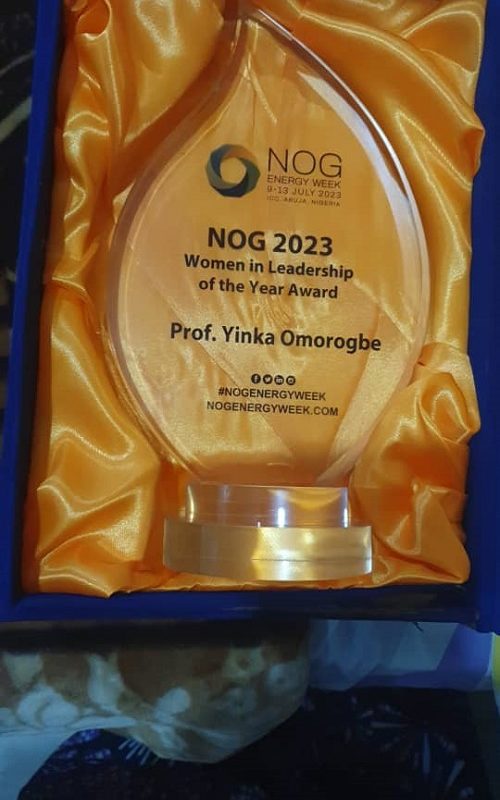 Prof. Omorogbe, NAEE President, Wins Women in Leadership of the Year Award