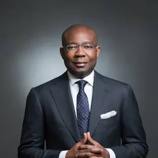 Aig-Imoukhuede, Pioneer Access Holdings GMD Appointed as Chairman